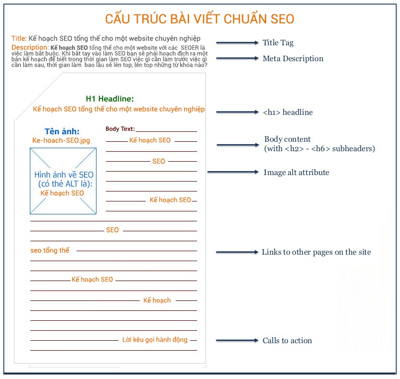 6 Sự Thật Về Bài Viết Chuẩn SEO | Cách Viết Bài Chuẩn SEO Thật Sự